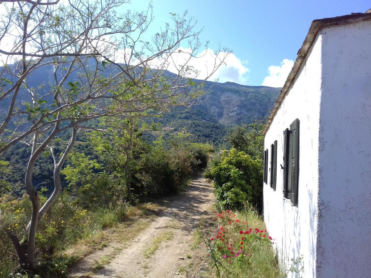 Ikarian Centre - Accommodation & Mountain Hiking Evdilos  Exterior photo